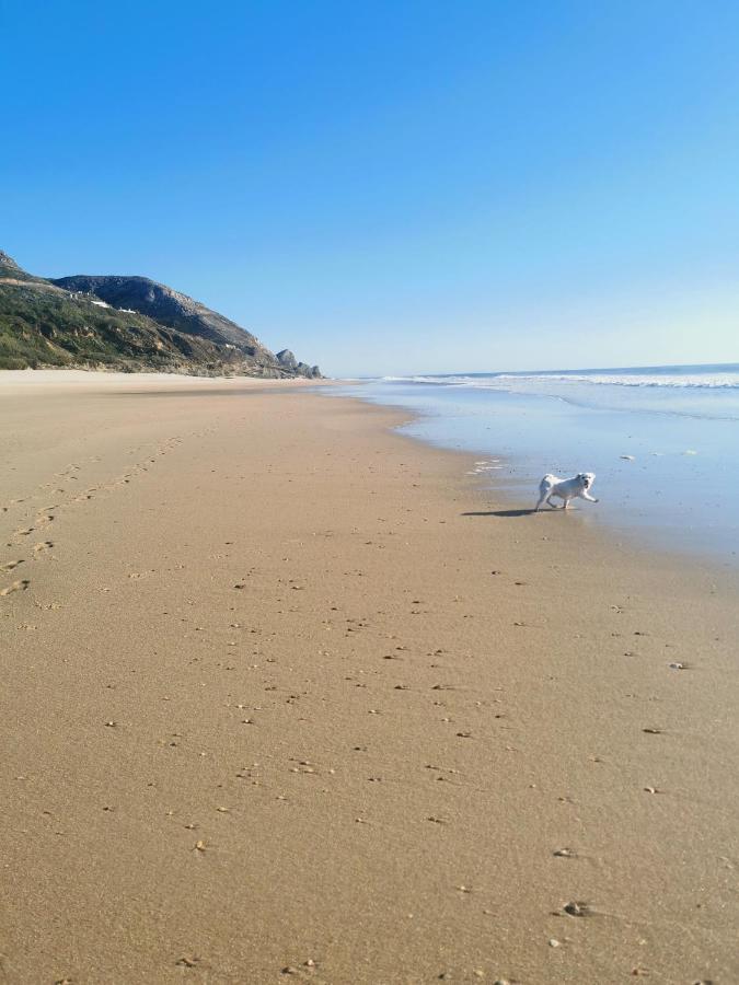 A My Own Paradise T2 1º Andar *